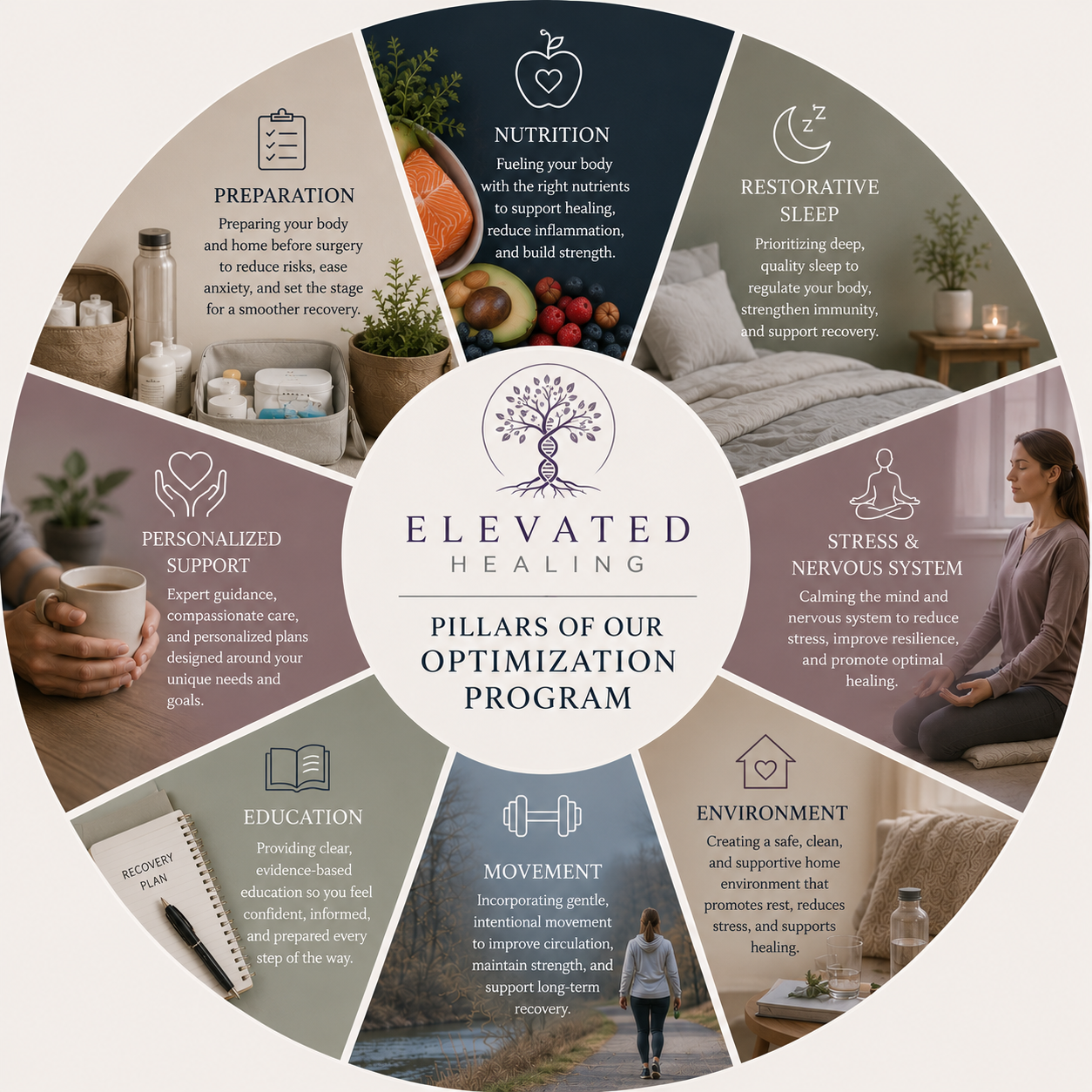 The Elevated Healing Pillars of Optimization Program: Preparation, Nutrition, Restorative Sleep, Stress and Nervous System, Movement, Environment, Education, and Personalized Support